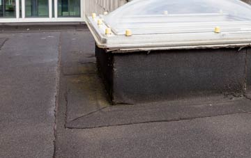 disadvantages of High Throston flat roofs