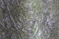 High Throston fibreglass roof work